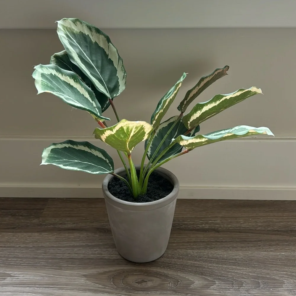 Hearth & Hand with Magnolia Faux Calathea Ceramic Potted Plant